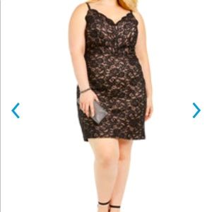 NWT Lace Dress - Available in 16W 20 and 22W